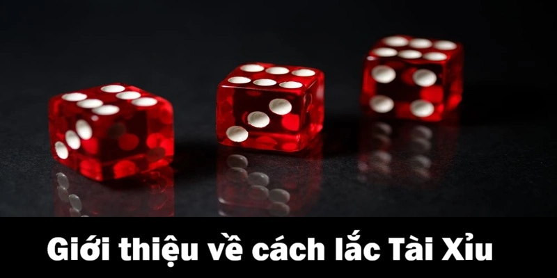 Giới thiệu về cách lắc tài Xỉu