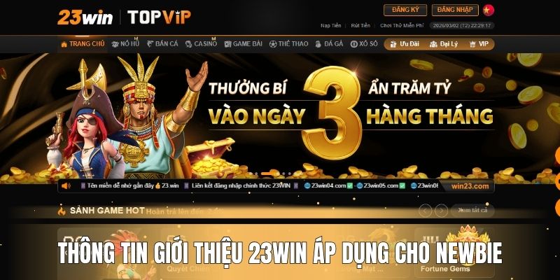 Thông tin giới thiệu 23WIN áp dụng cho newbie